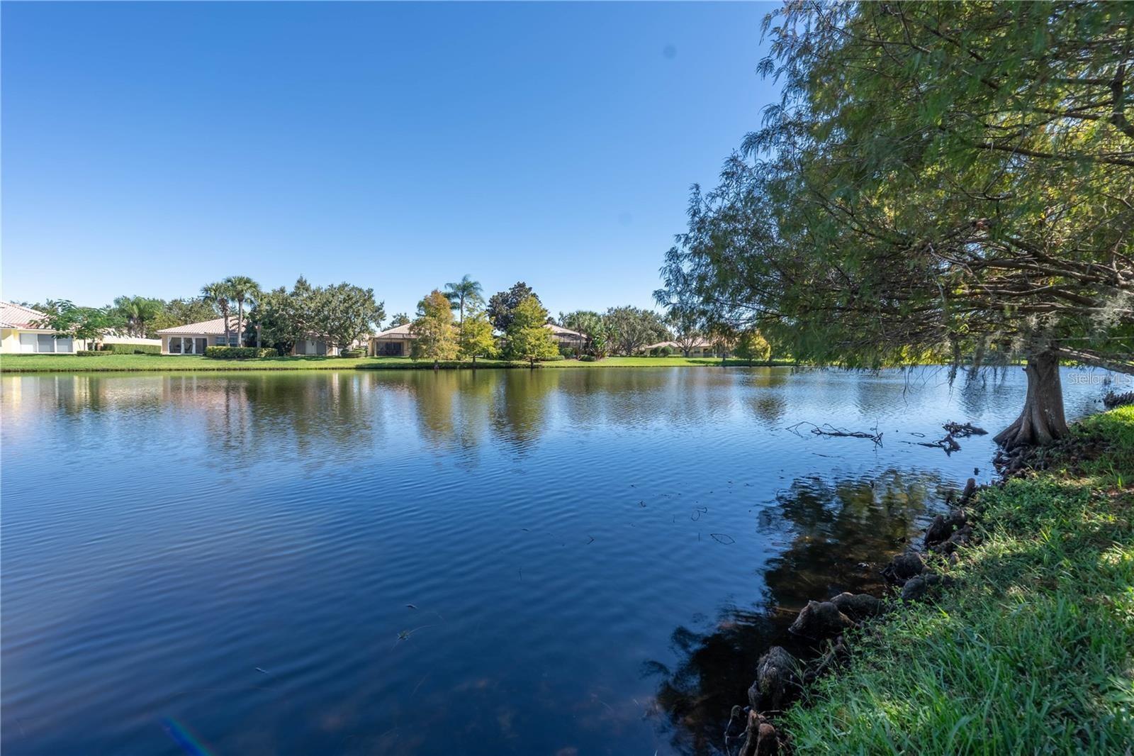 11731 EAGLE RAY LN, ORLANDO, FL — photo 44