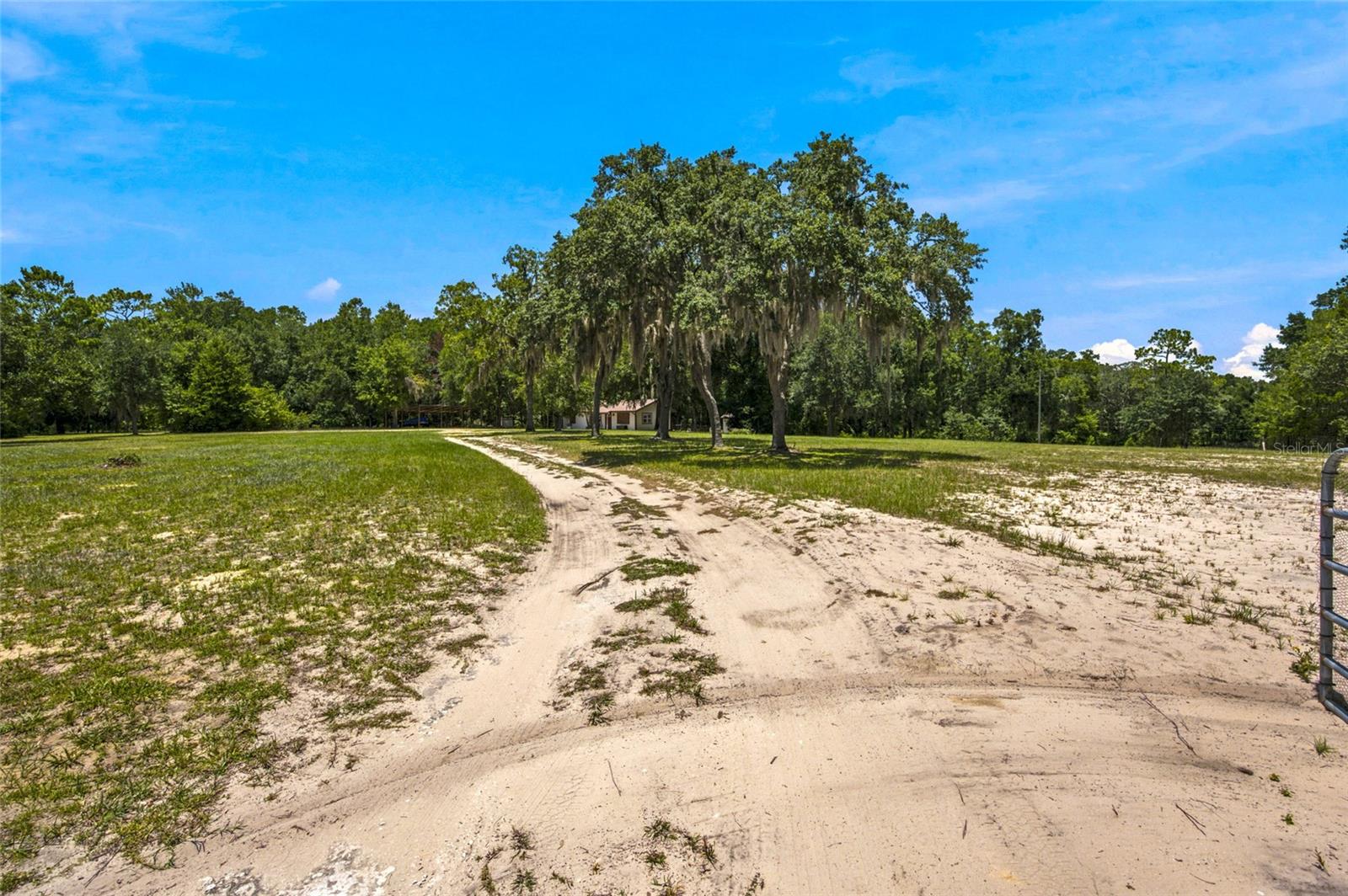 13051 NE 60TH ST, WILLISTON, FL — photo 23