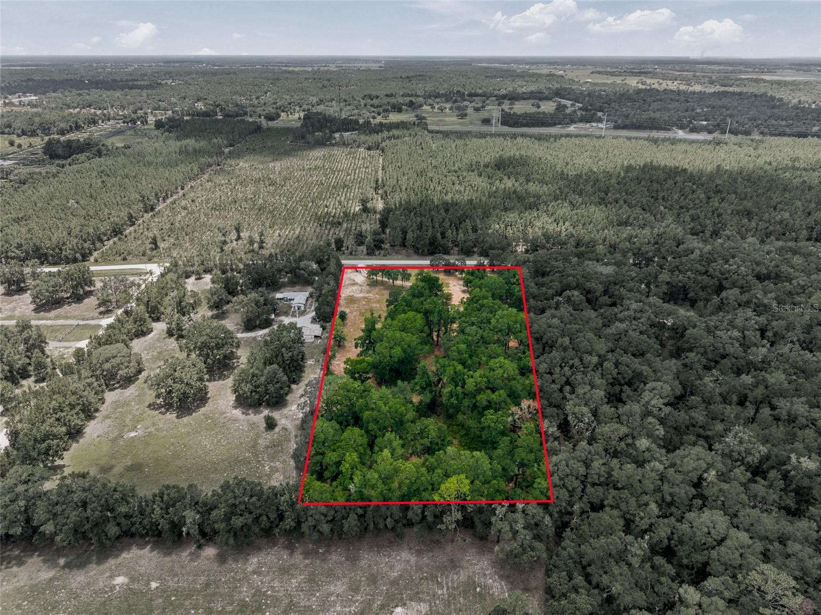 13051 NE 60TH ST, WILLISTON, FL — photo 33
