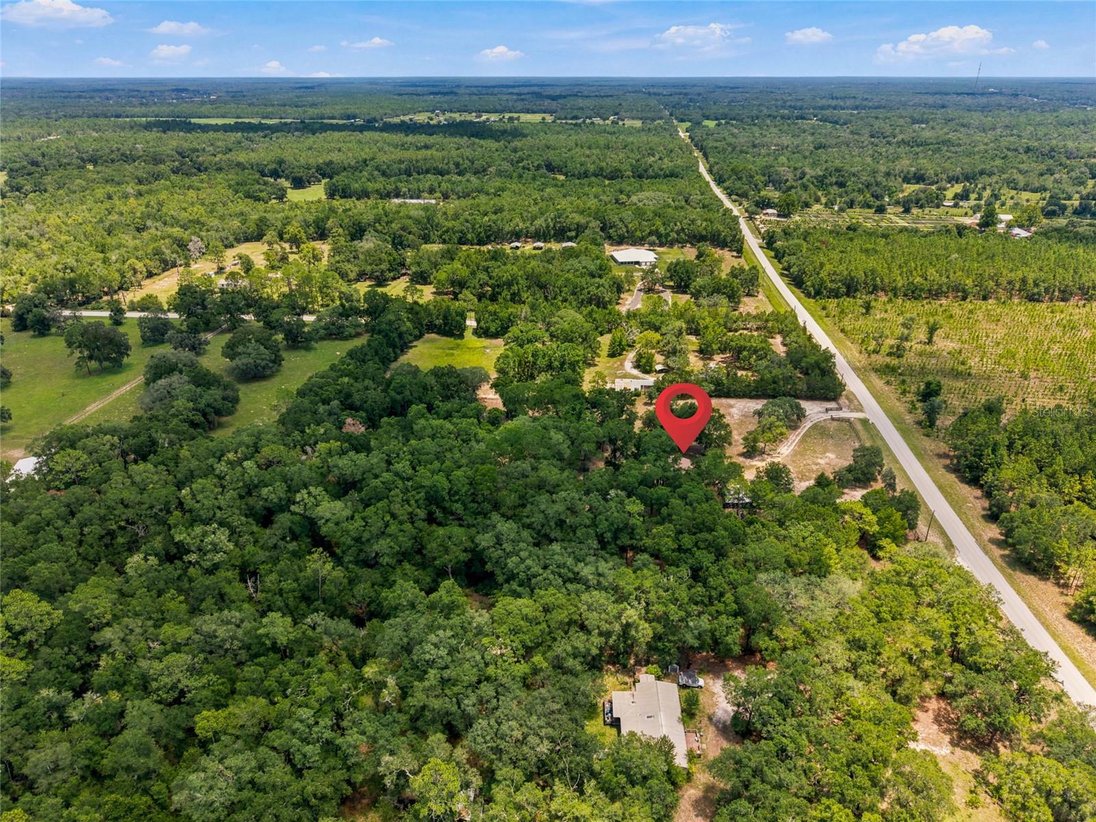 13051 NE 60TH ST, WILLISTON, FL — photo 34