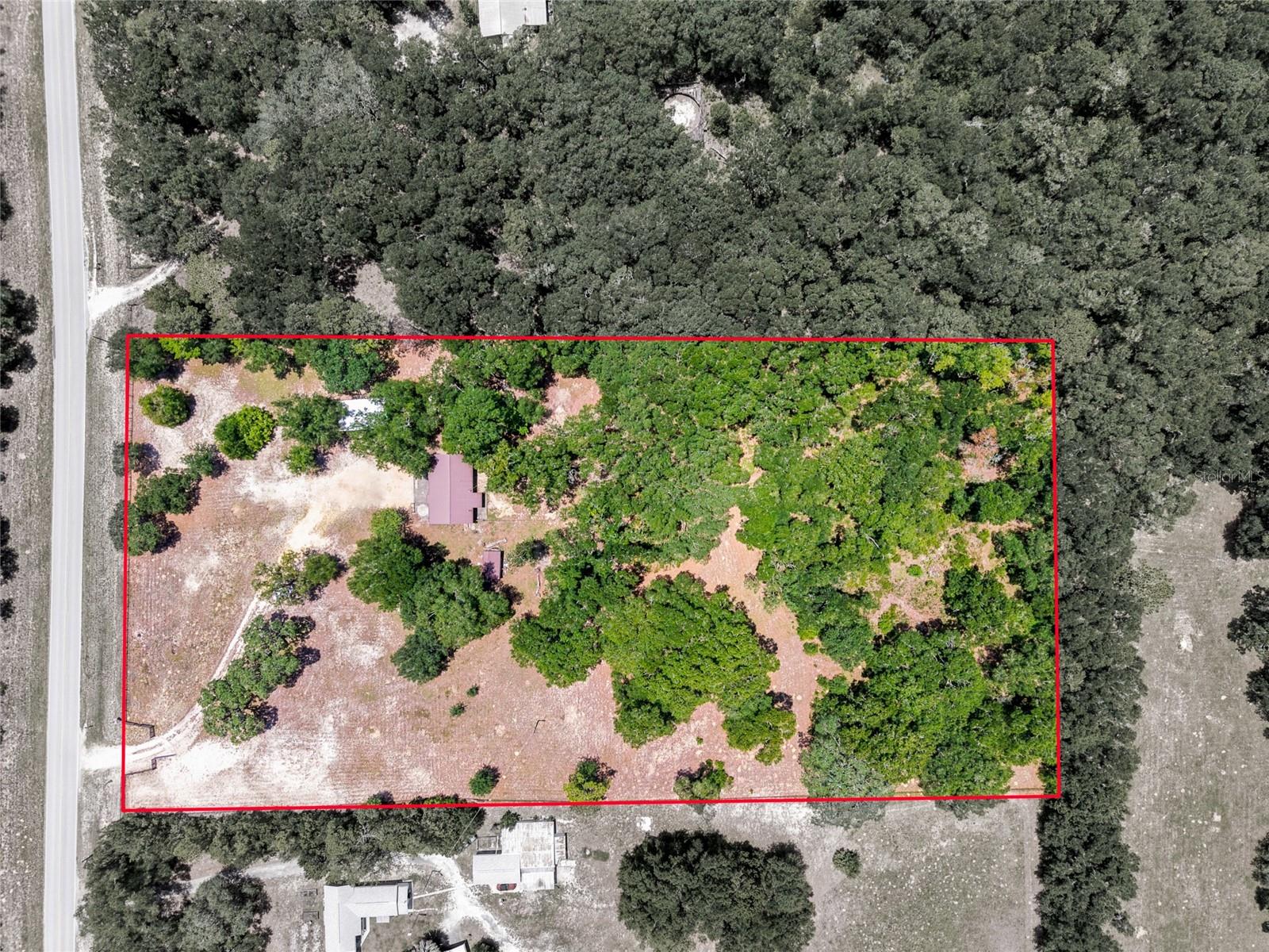 13051 NE 60TH ST, WILLISTON, FL — photo 36
