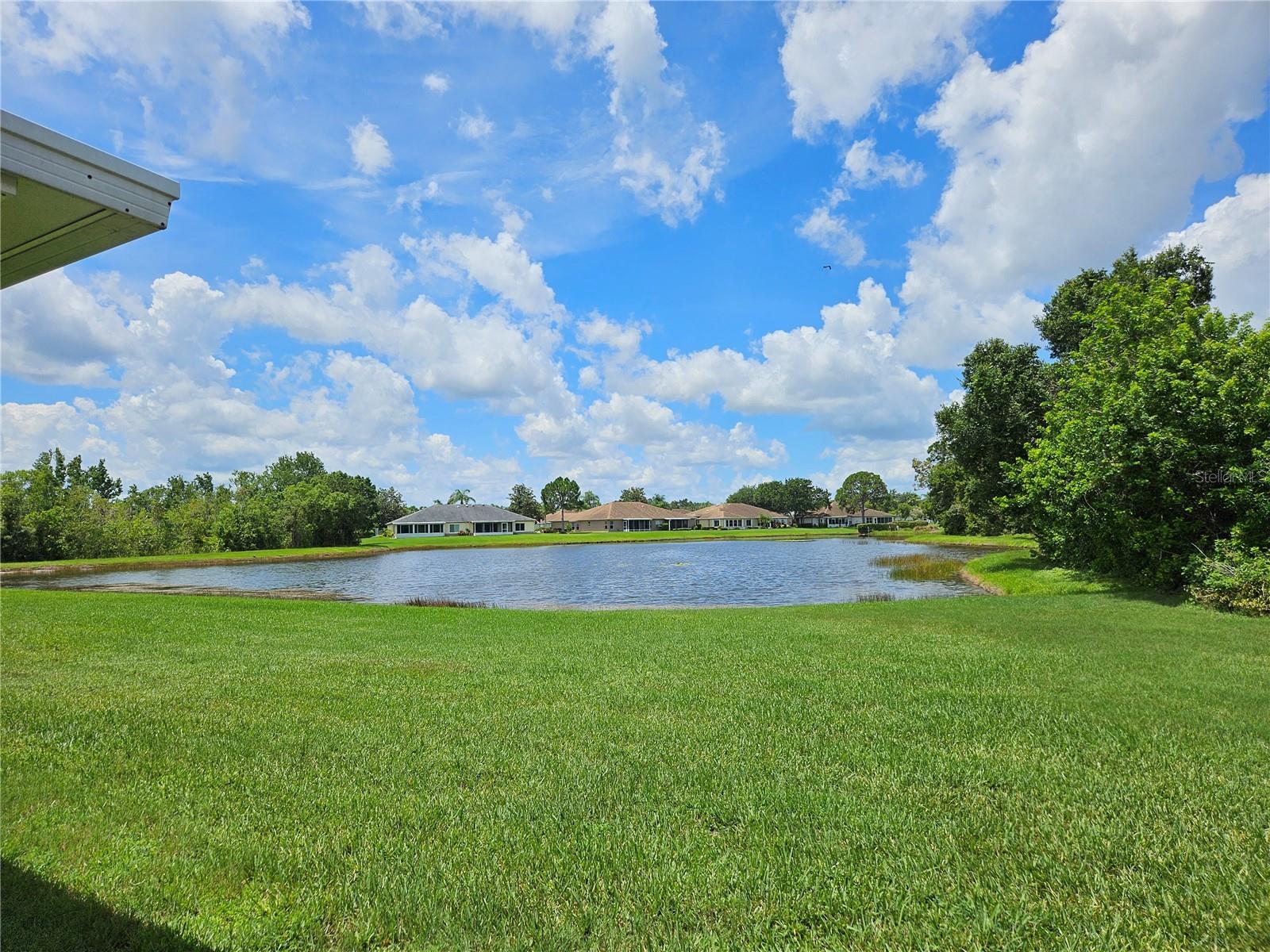 739 TREMONT GREENS LN, SUN CITY CENTER, FL — photo 3