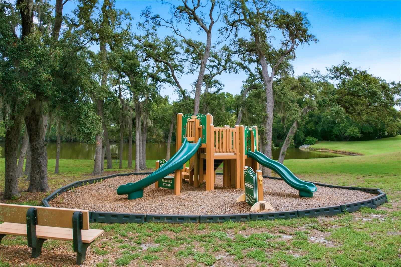594 DAVENTRY SQ, PALM HARBOR, FL — photo 20