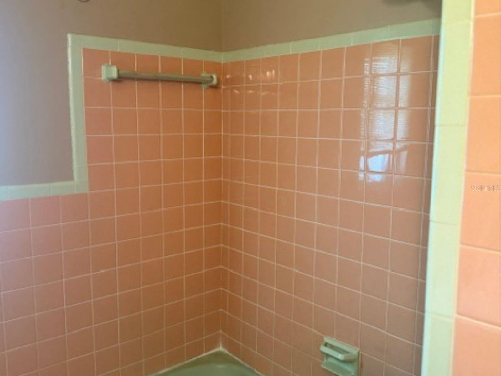 14812 N IRIS AVE, TAMPA, FL — photo 12