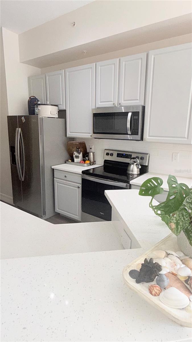 513 MIRASOL CIR #203, CELEBRATION, FL — photo 8