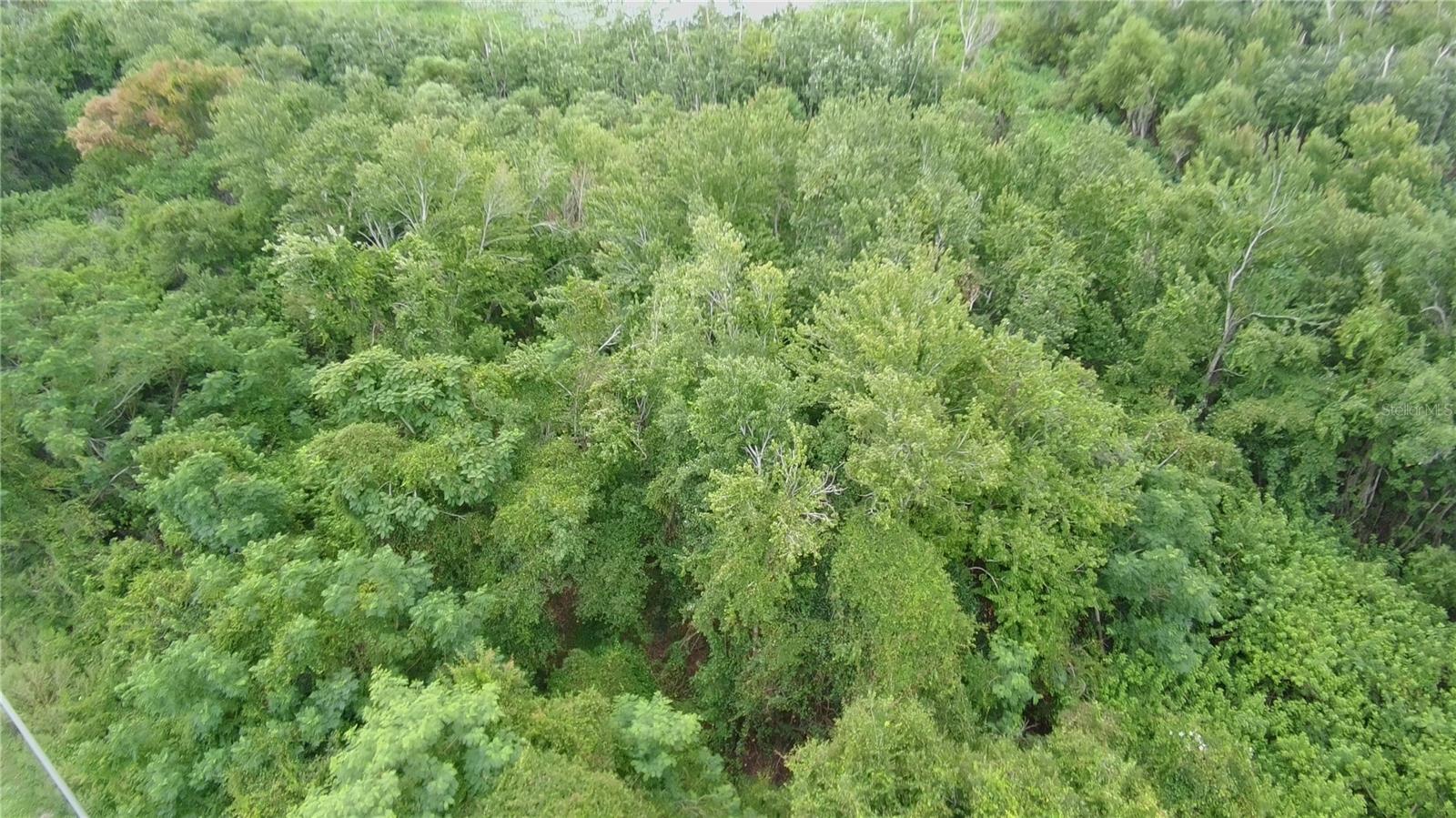 0 ALFRED DR E, LAKE ALFRED, FL — photo 9