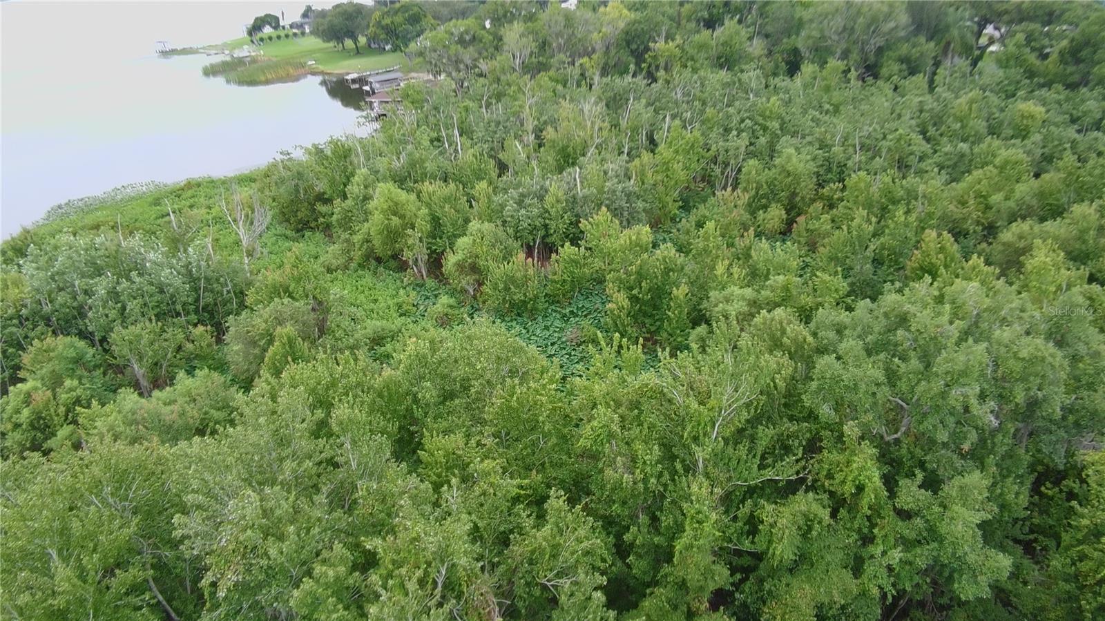 0 ALFRED DR E, LAKE ALFRED, FL — photo 4