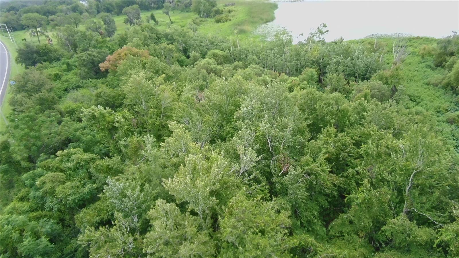 0 ALFRED DR E, LAKE ALFRED, FL — photo 12
