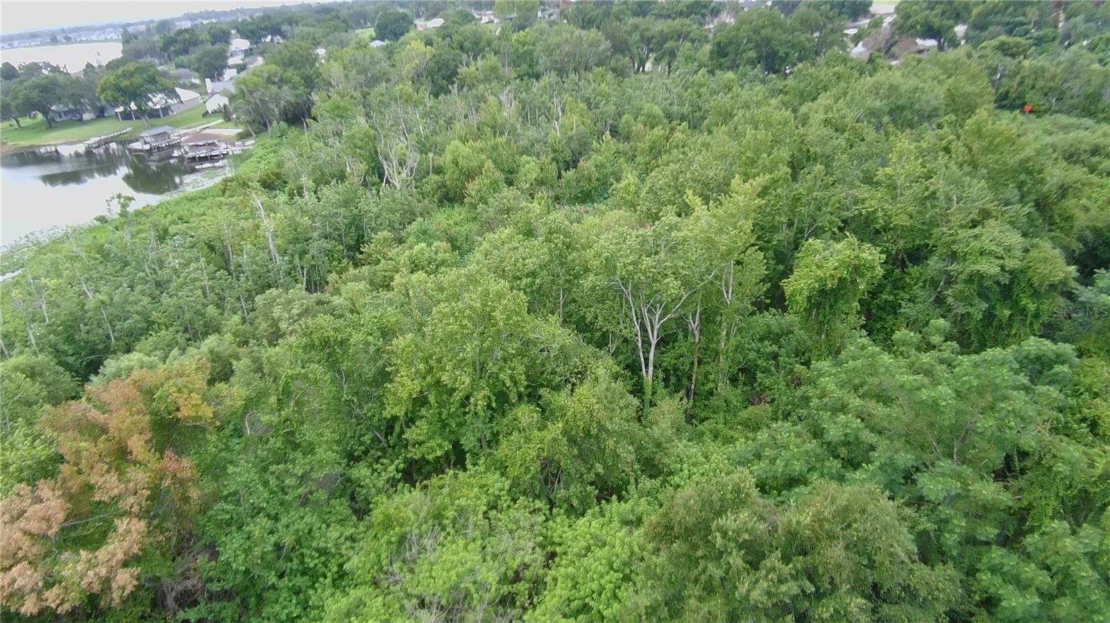 0 ALFRED DR E, LAKE ALFRED, FL — photo 6