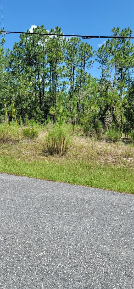 7163 N GLENRIDGE CIR, CITRUS SPRINGS, FL — photo 12