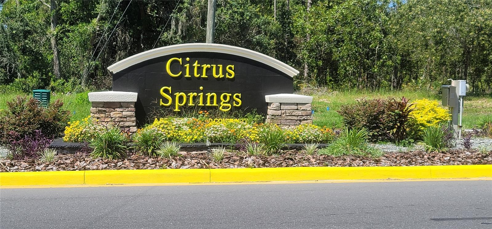 10339 N G MARTINELLI BLVD, CITRUS SPRINGS, FL