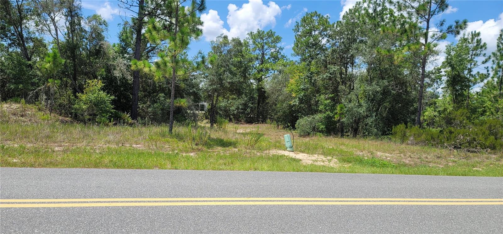 10339 N G MARTINELLI BLVD, CITRUS SPRINGS, FL — photo 9