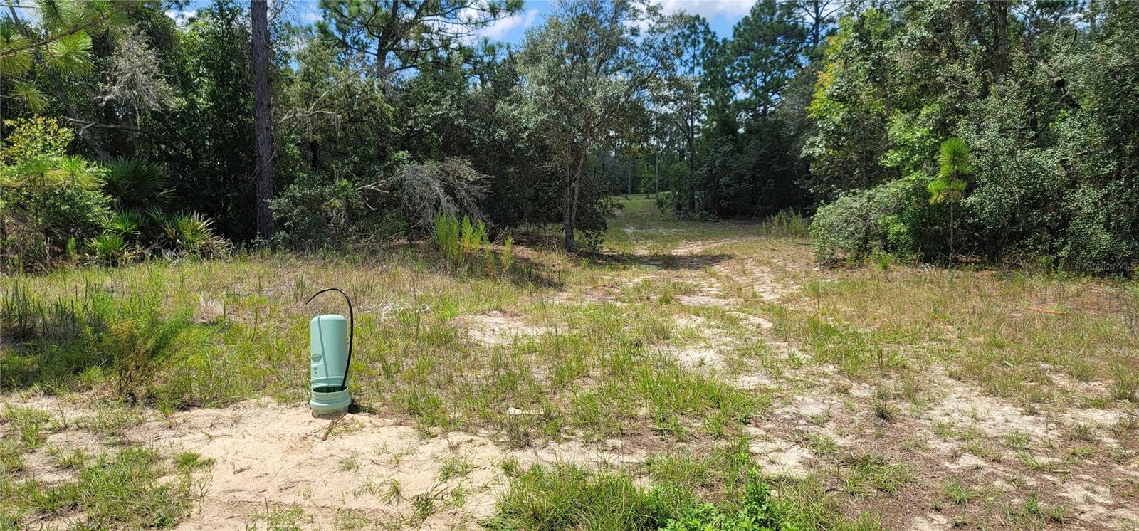 10339 N G MARTINELLI BLVD, CITRUS SPRINGS, FL — photo 10