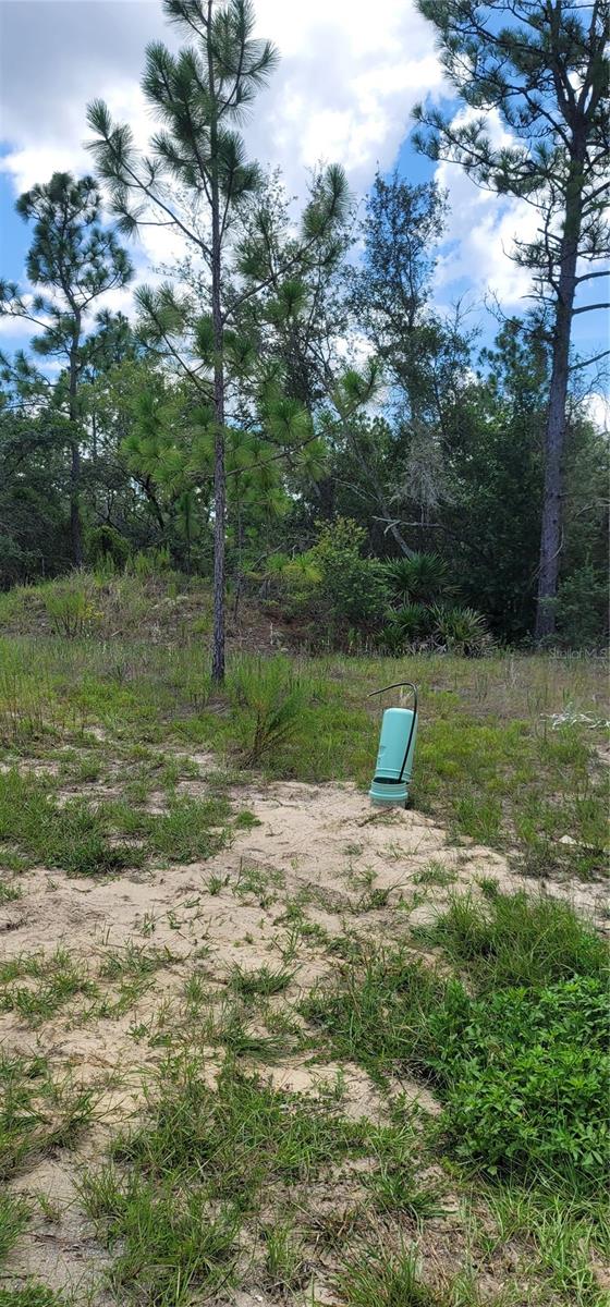 10339 N G MARTINELLI BLVD, CITRUS SPRINGS, FL — photo 11