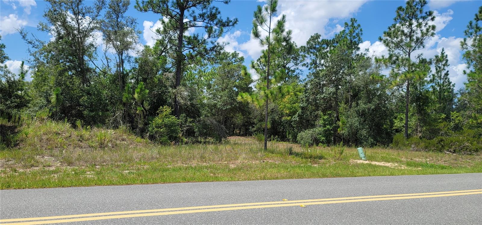 10339 N G MARTINELLI BLVD, CITRUS SPRINGS, FL — photo 12