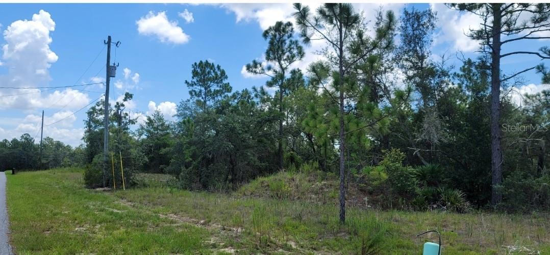 10339 N G MARTINELLI BLVD, CITRUS SPRINGS, FL — photo 14