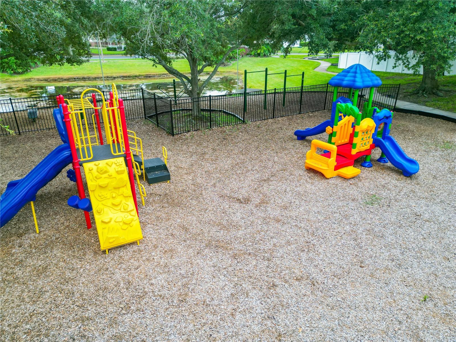 3245 WHOOPING CRANE RUN, KISSIMMEE, FL — photo 25