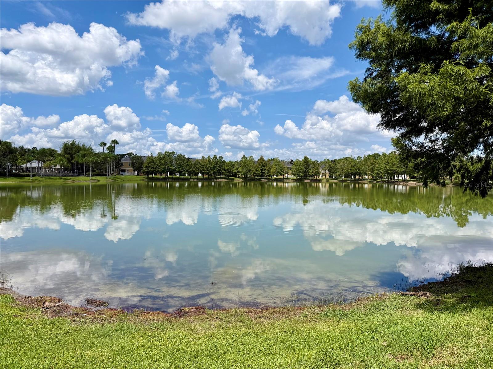 14125 OASIS COVE BLVD #206, WINDERMERE, FL — photo 41