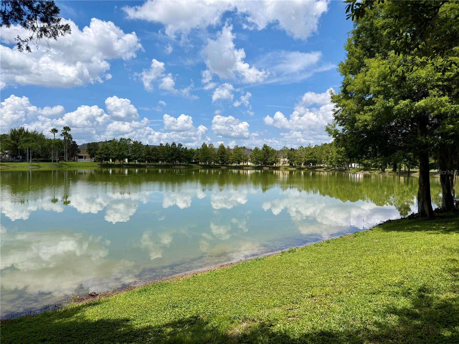 14125 OASIS COVE BLVD #206, WINDERMERE, FL — photo 42