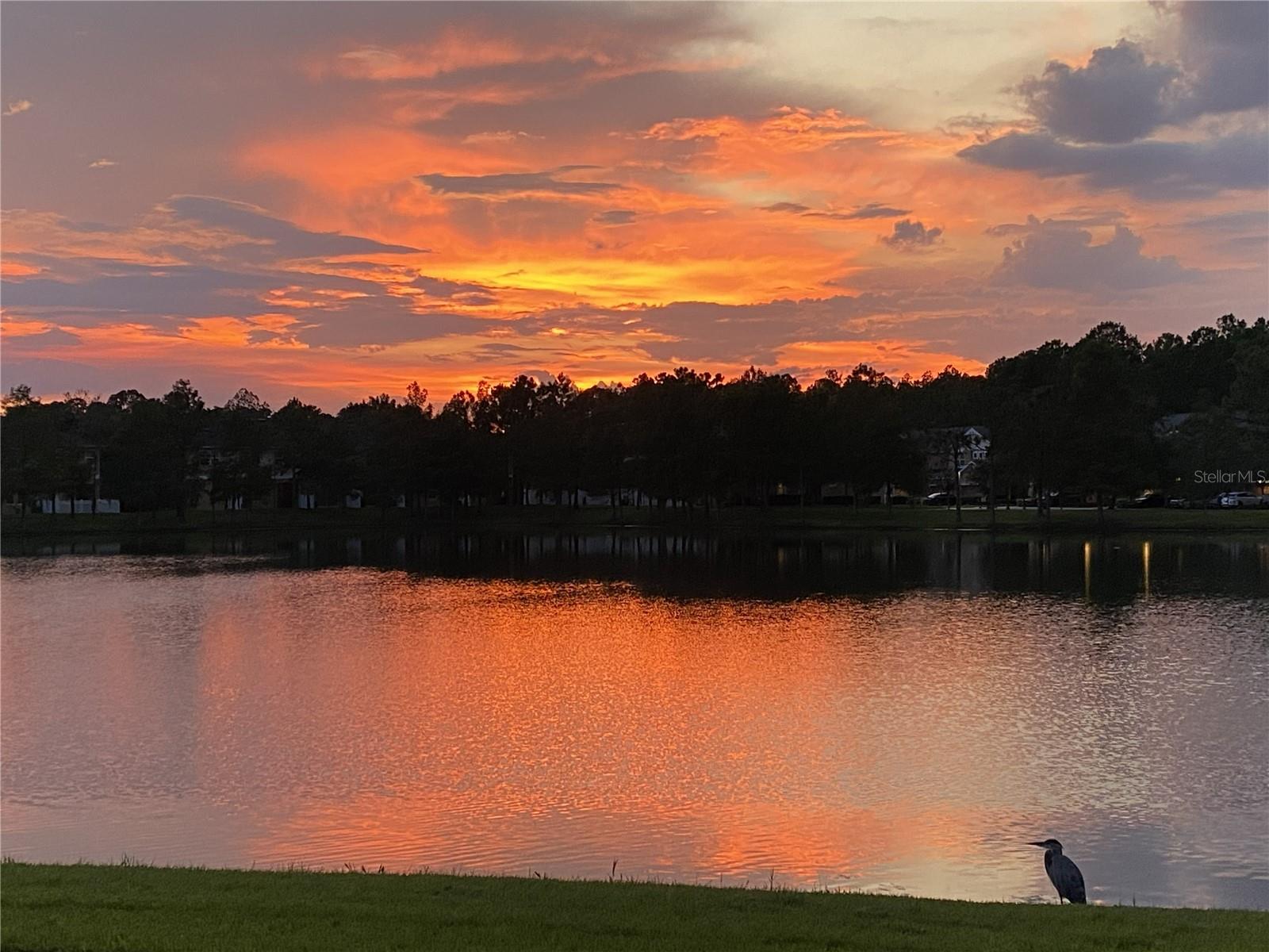 14125 OASIS COVE BLVD #206, WINDERMERE, FL — photo 44