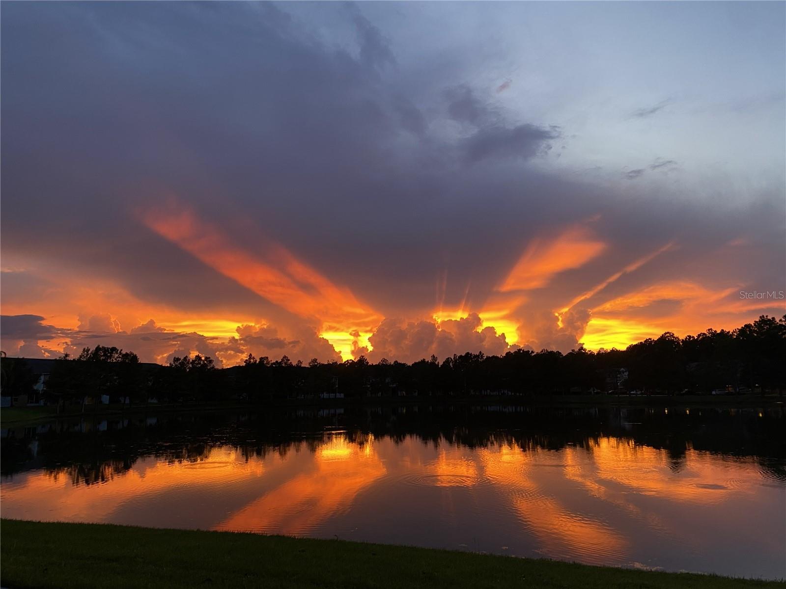 14125 OASIS COVE BLVD #206, WINDERMERE, FL — photo 45