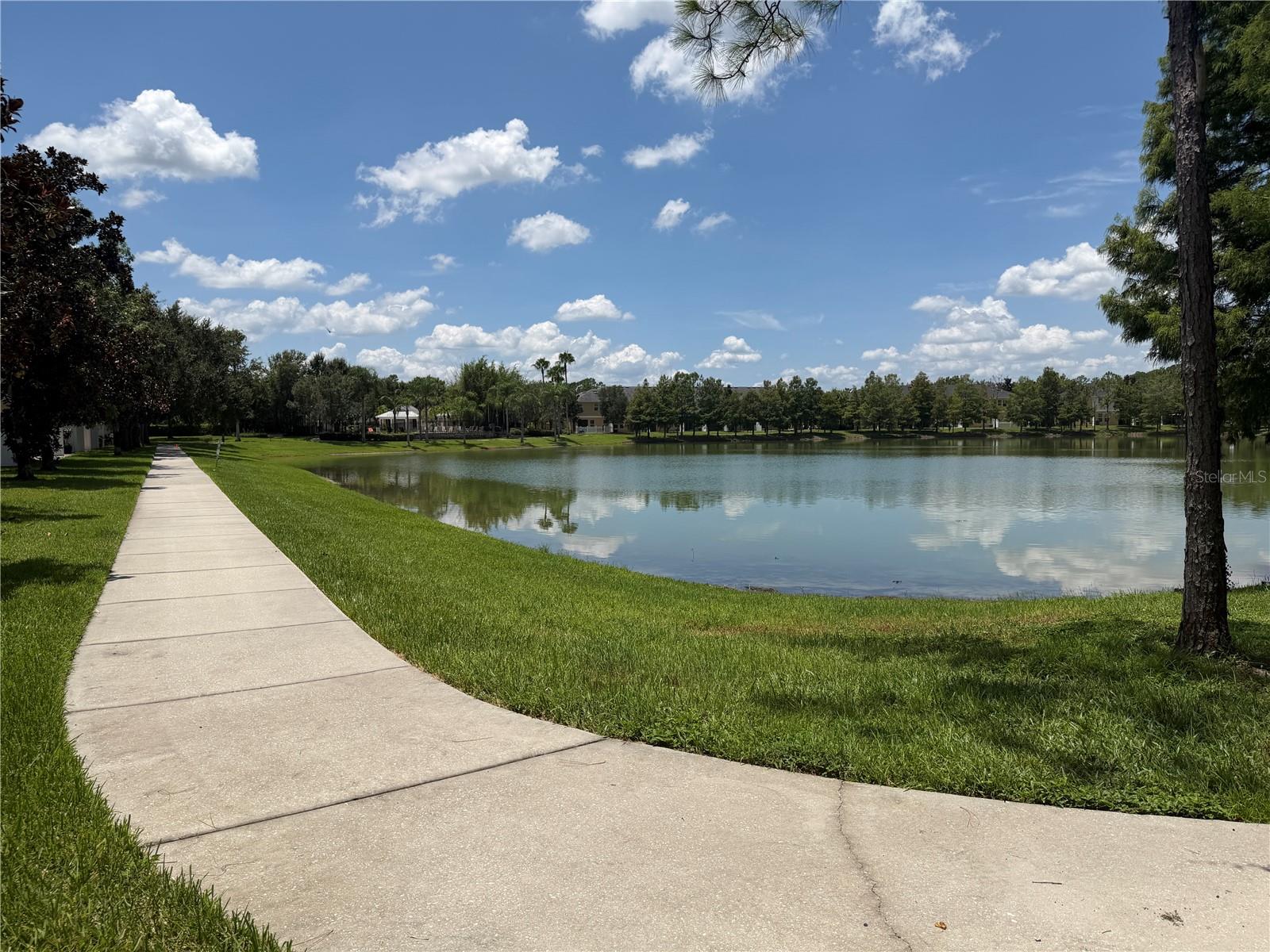 14125 OASIS COVE BLVD #206, WINDERMERE, FL — photo 48