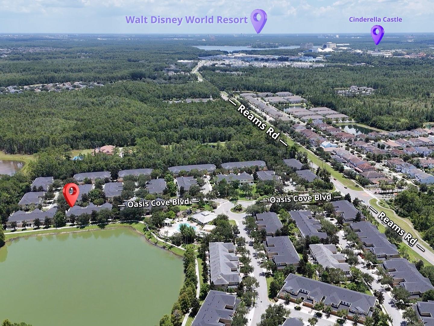 14125 OASIS COVE BLVD #206, WINDERMERE, FL — photo 58