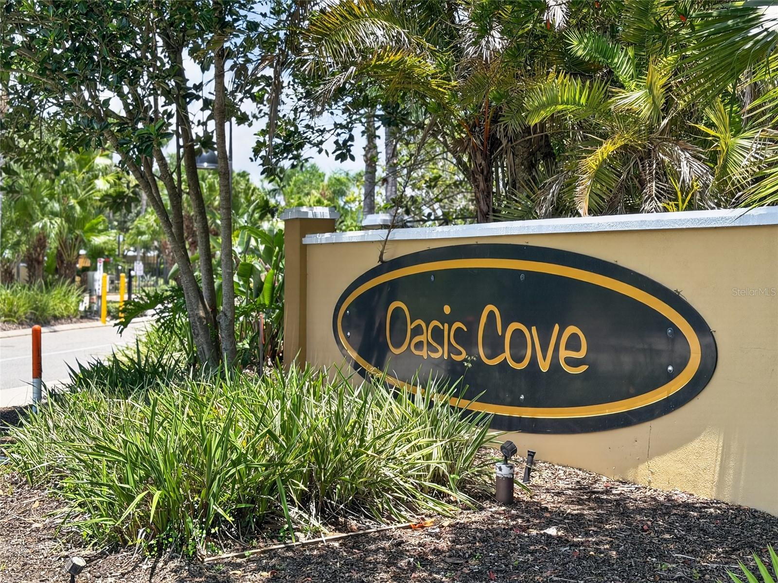 14125 OASIS COVE BLVD #206, WINDERMERE, FL — photo 60