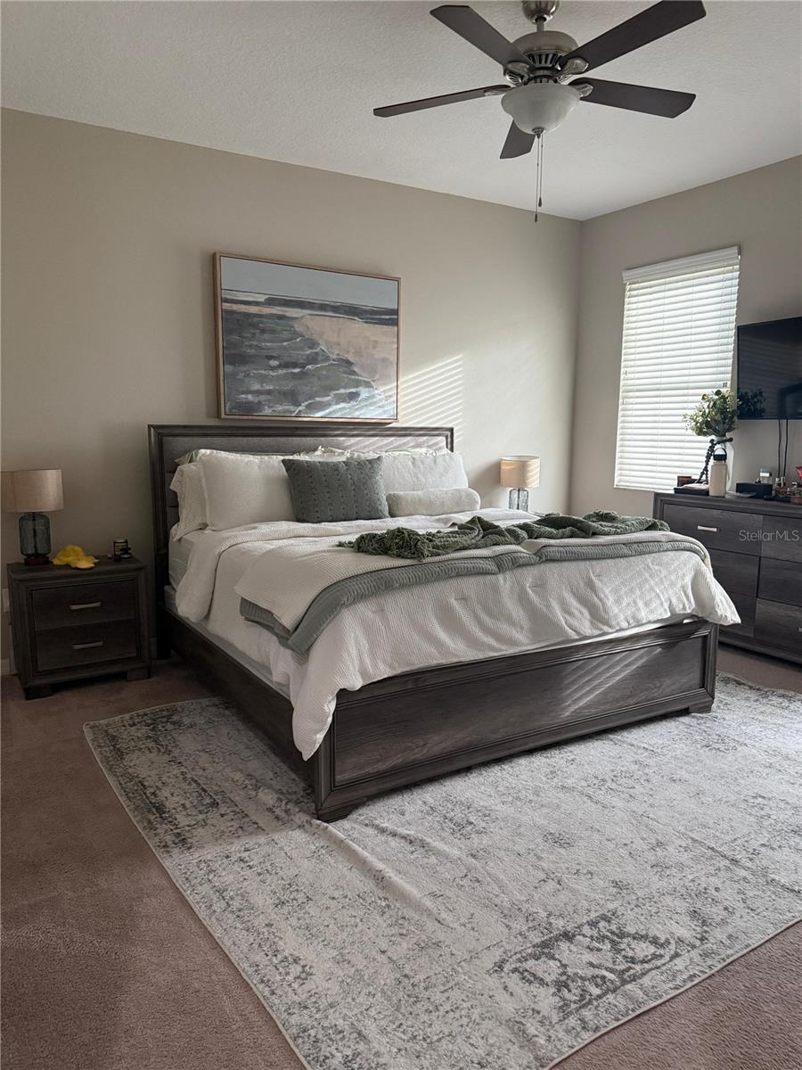 10409 CRIMSON PARK LN #105, TAMPA, FL — photo 11