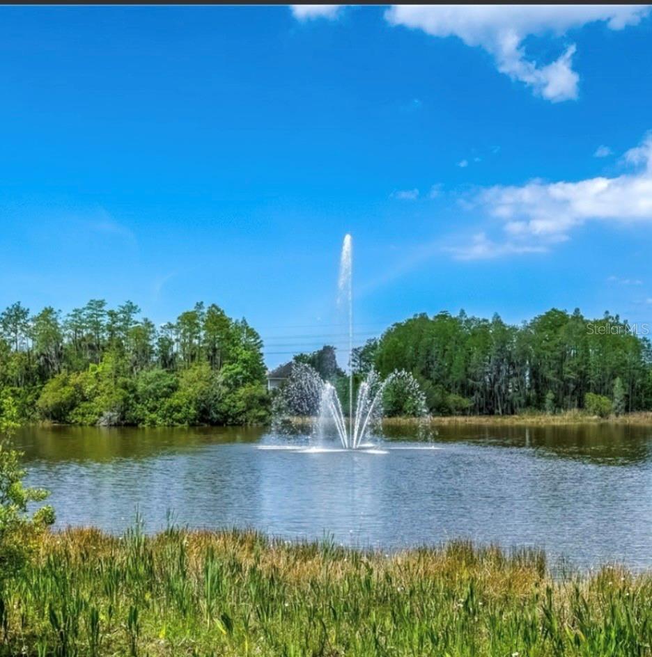 10409 CRIMSON PARK LN #105, TAMPA, FL — photo 24