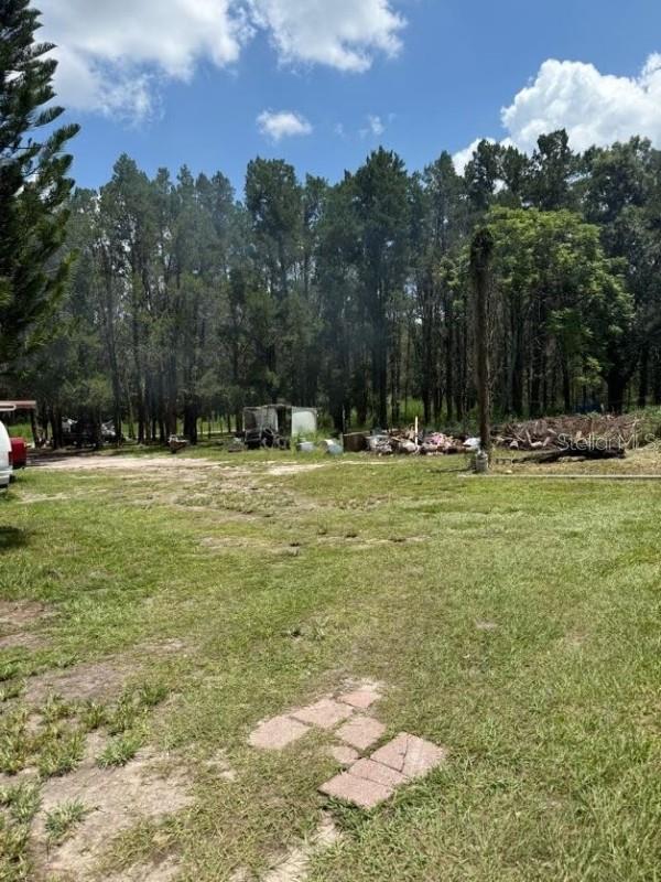 4543 COBB RD, LAND O LAKES, FL — photo 6