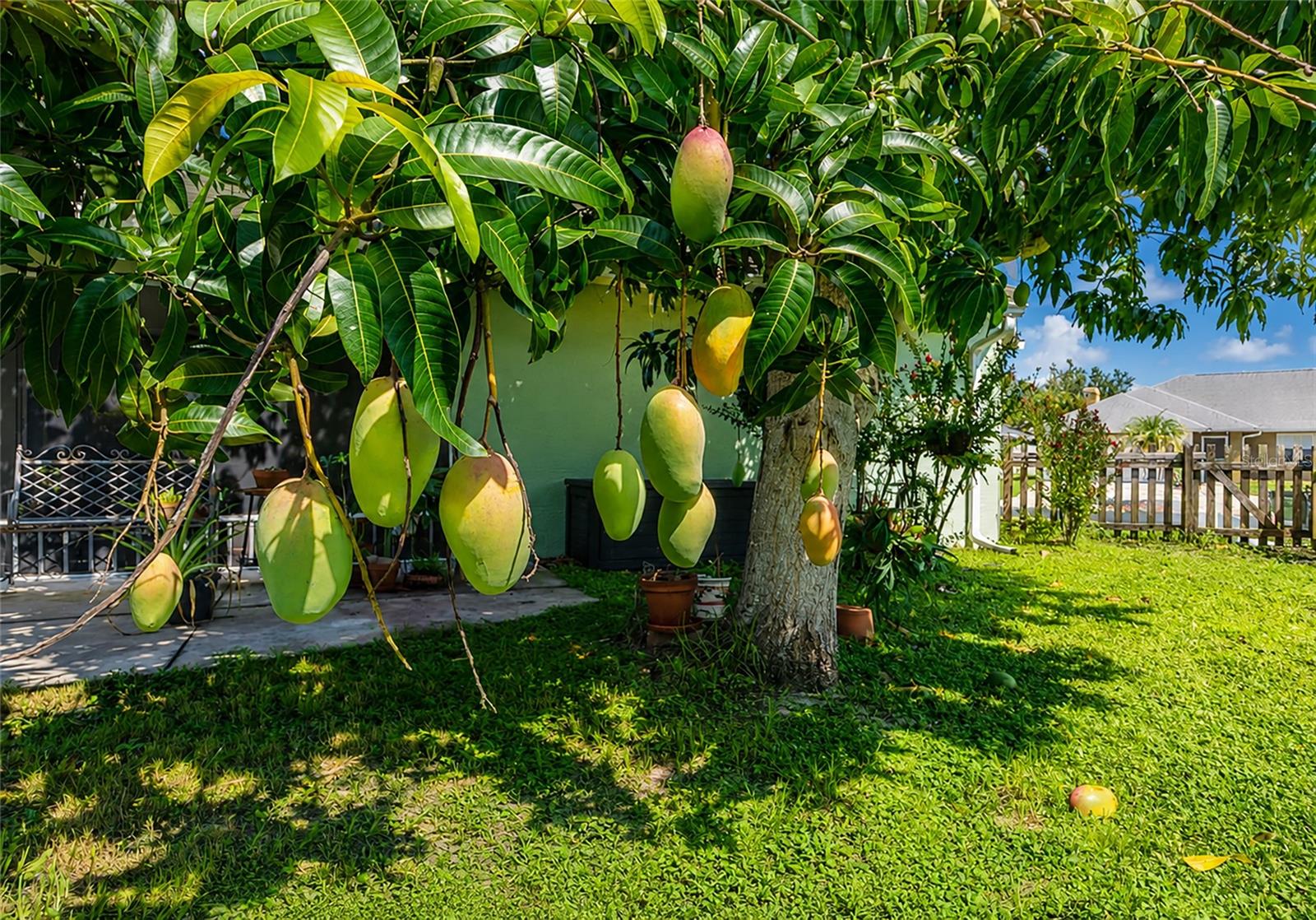 2405 ICECAPADE DR, SARASOTA, FL — photo 47
