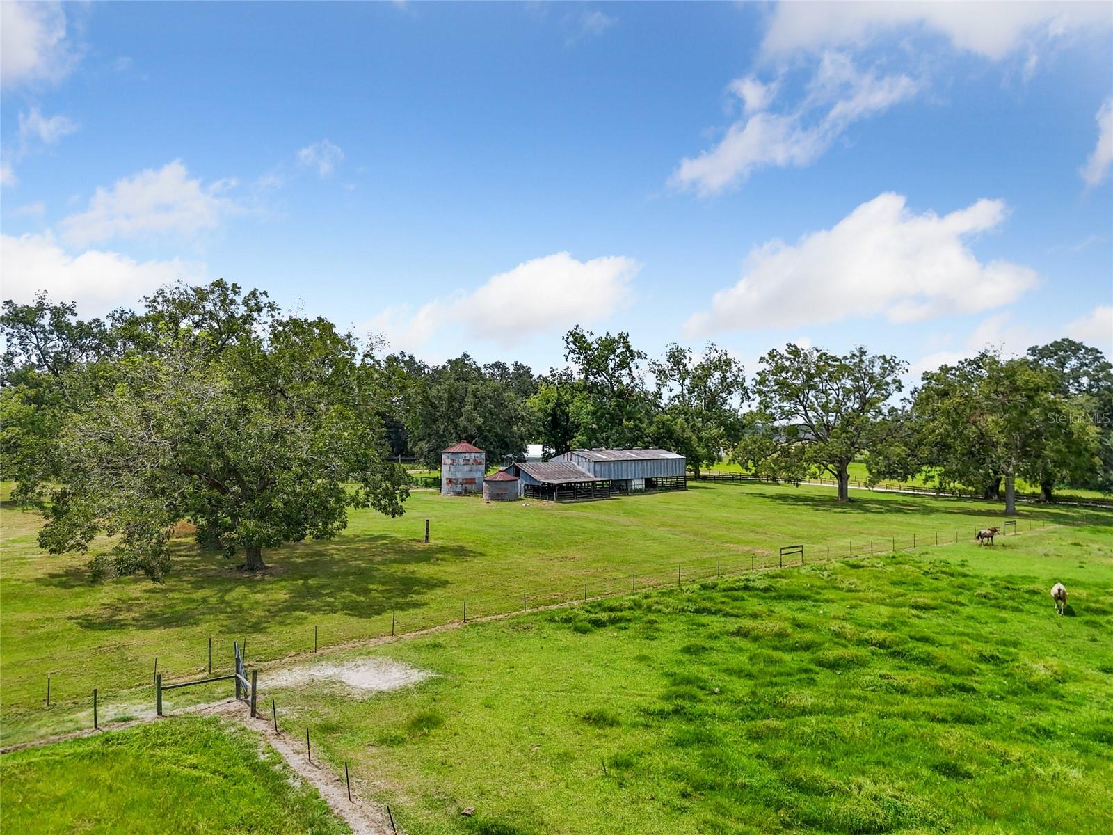 1845 SW HALTIWANGER RD, LAKE CITY, FL — photo 28