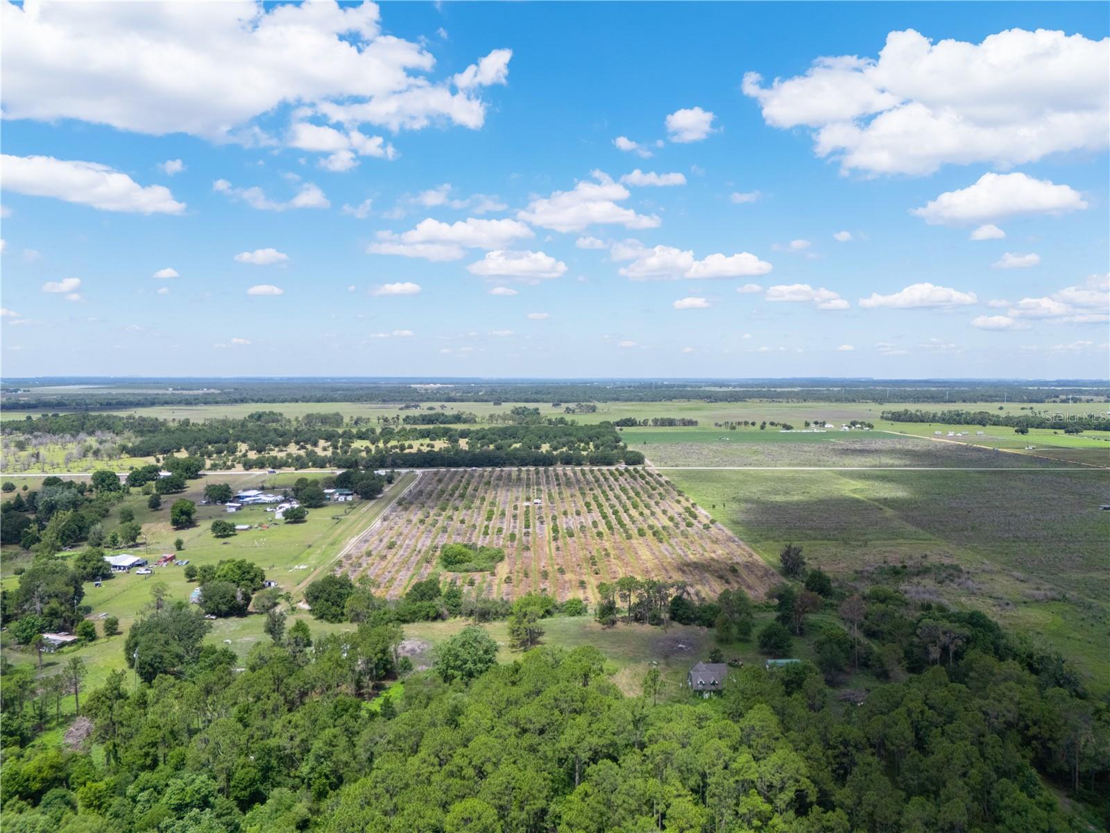 LAKE BUFFUM RD W, FORT MEADE, FL — photo 7
