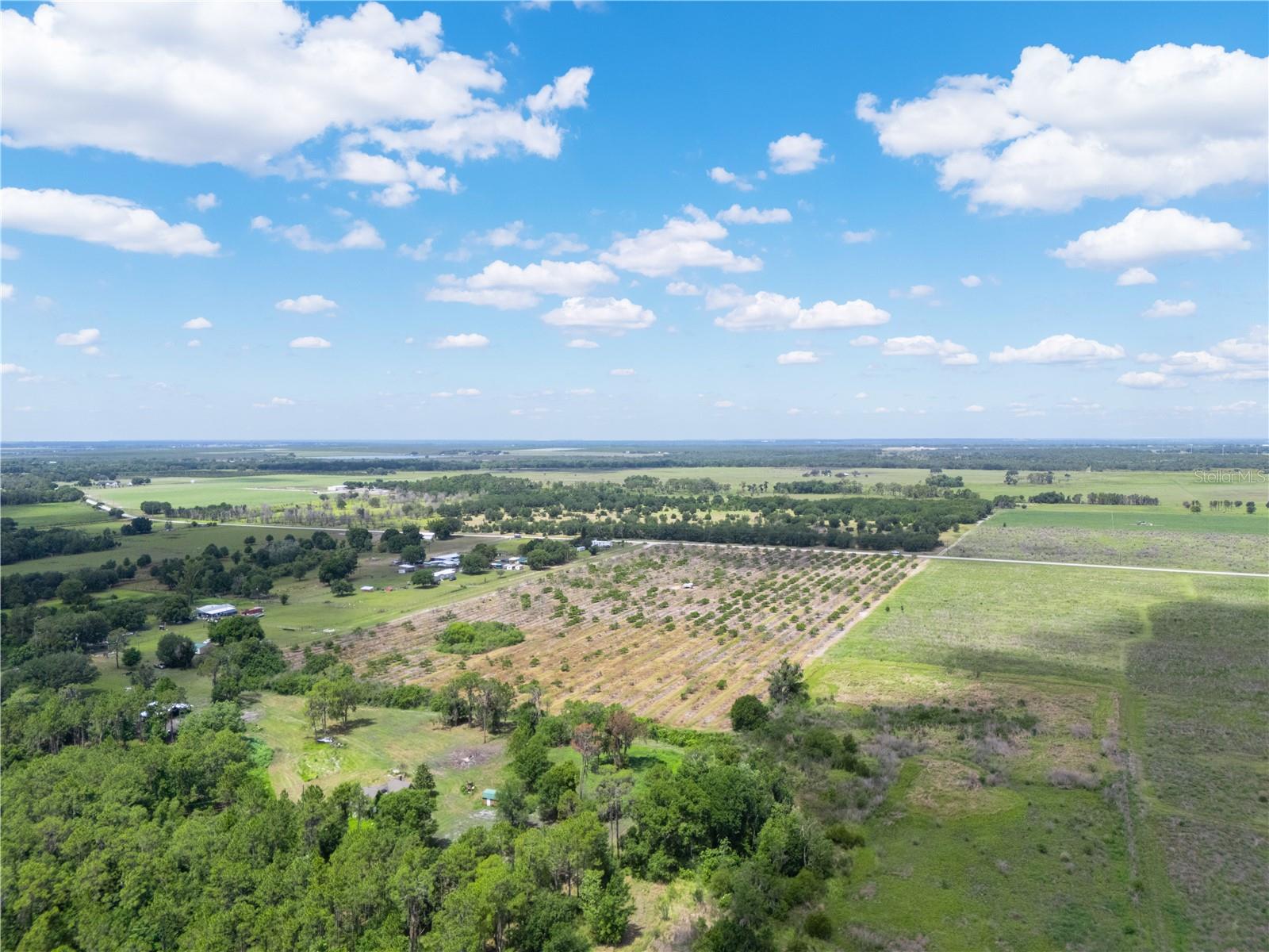 LAKE BUFFUM RD W, FORT MEADE, FL — photo 8