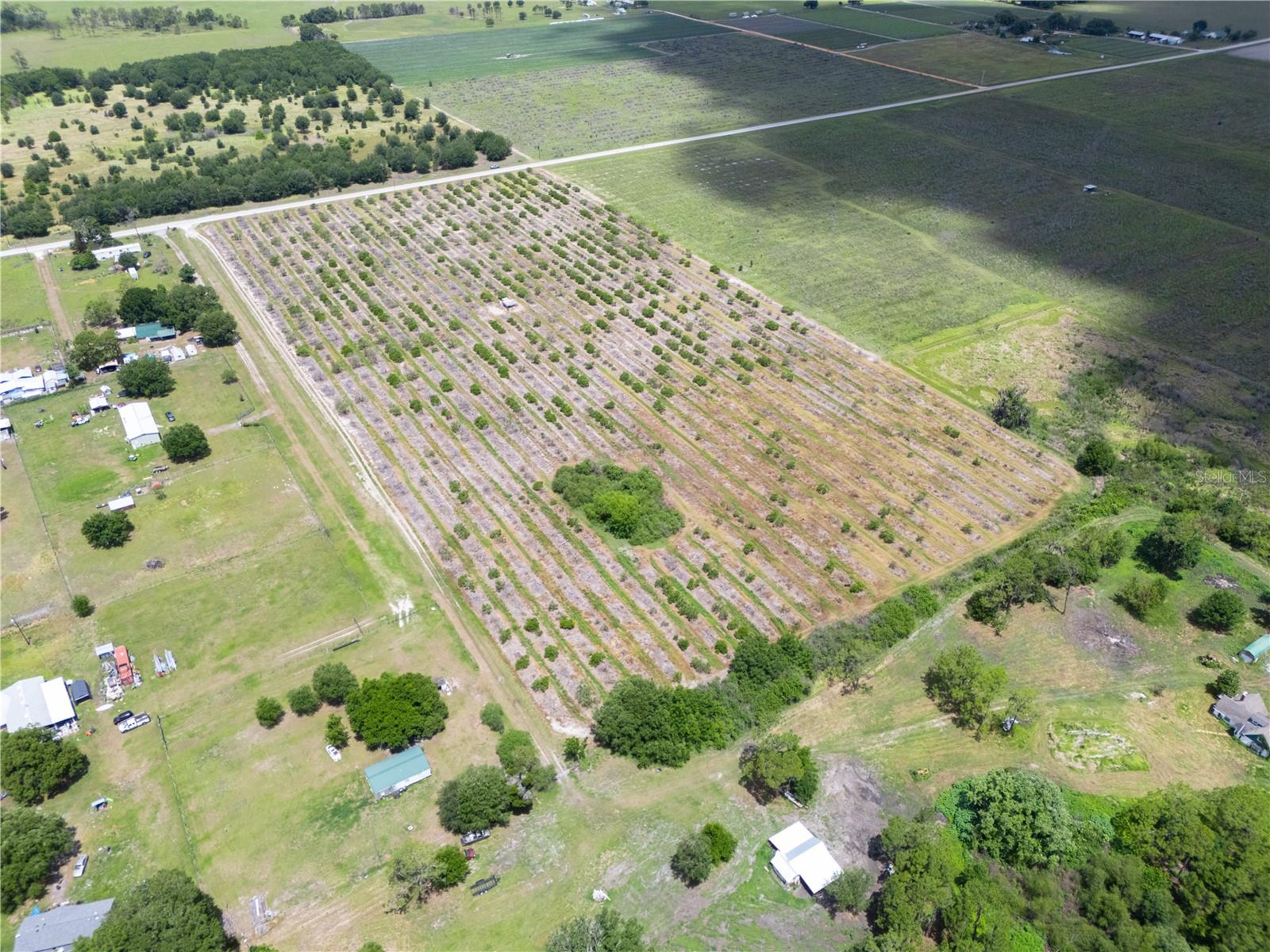 LAKE BUFFUM RD W, FORT MEADE, FL — photo 10