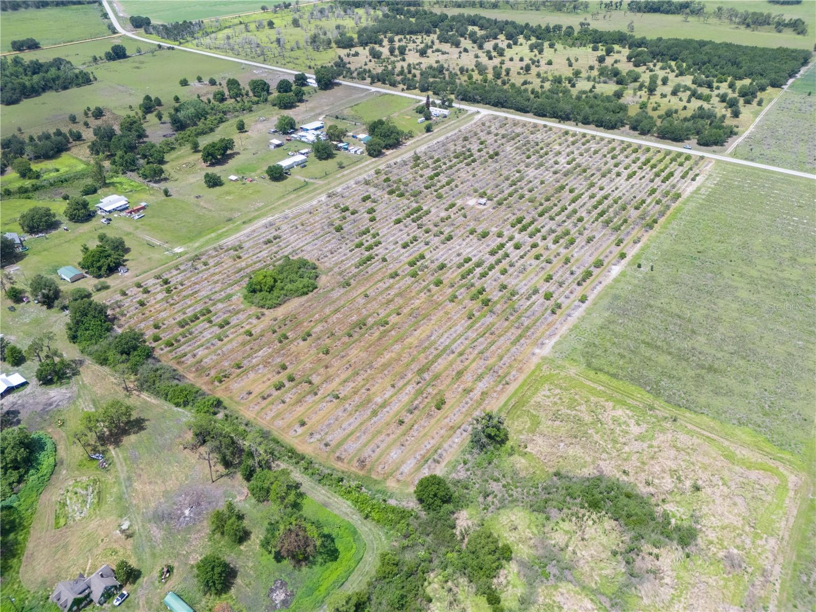 LAKE BUFFUM RD W, FORT MEADE, FL — photo 12