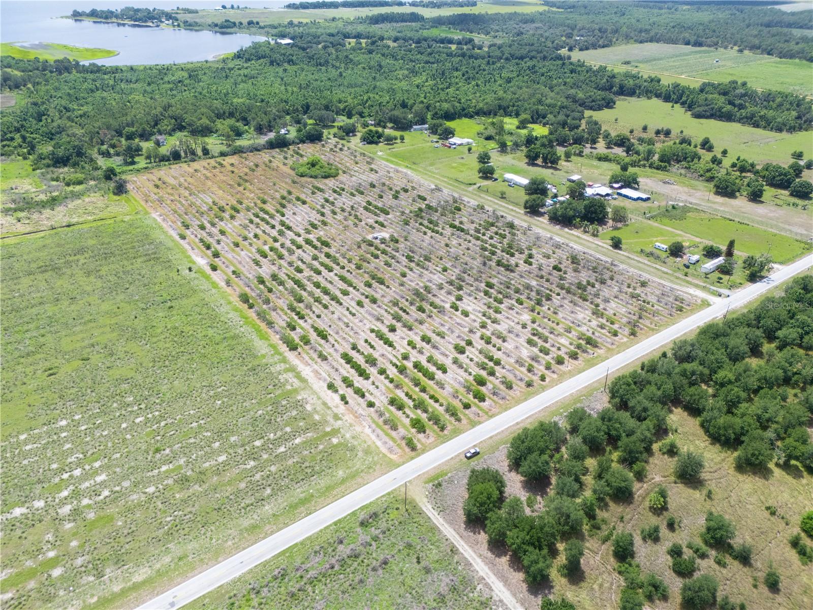 LAKE BUFFUM RD W, FORT MEADE, FL — photo 13