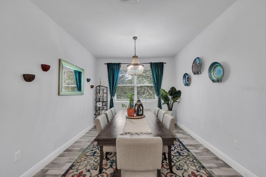 11505 CAMBIUM CROWN DR, RIVERVIEW, FL — photo 11
