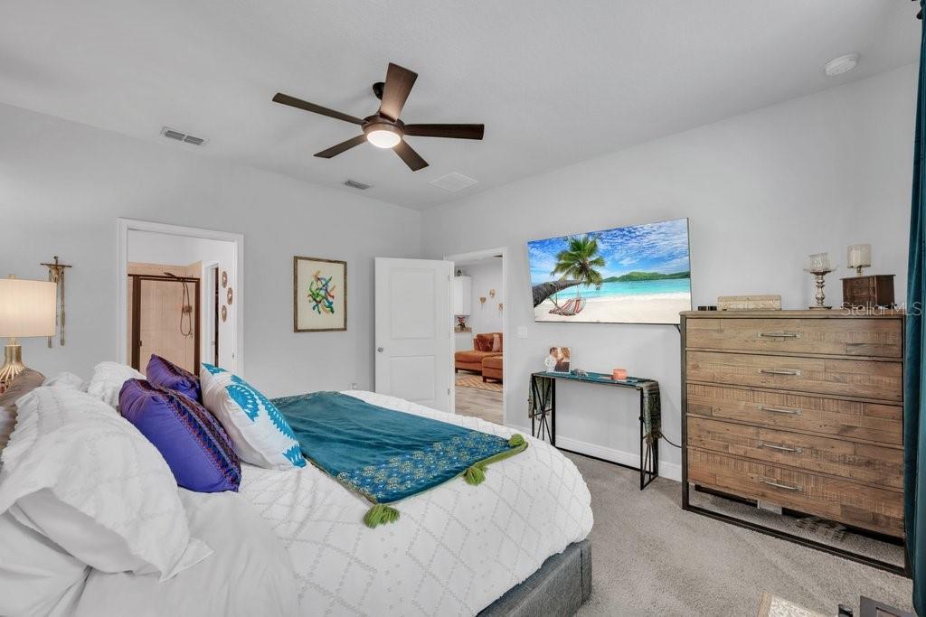11505 CAMBIUM CROWN DR, RIVERVIEW, FL — photo 21