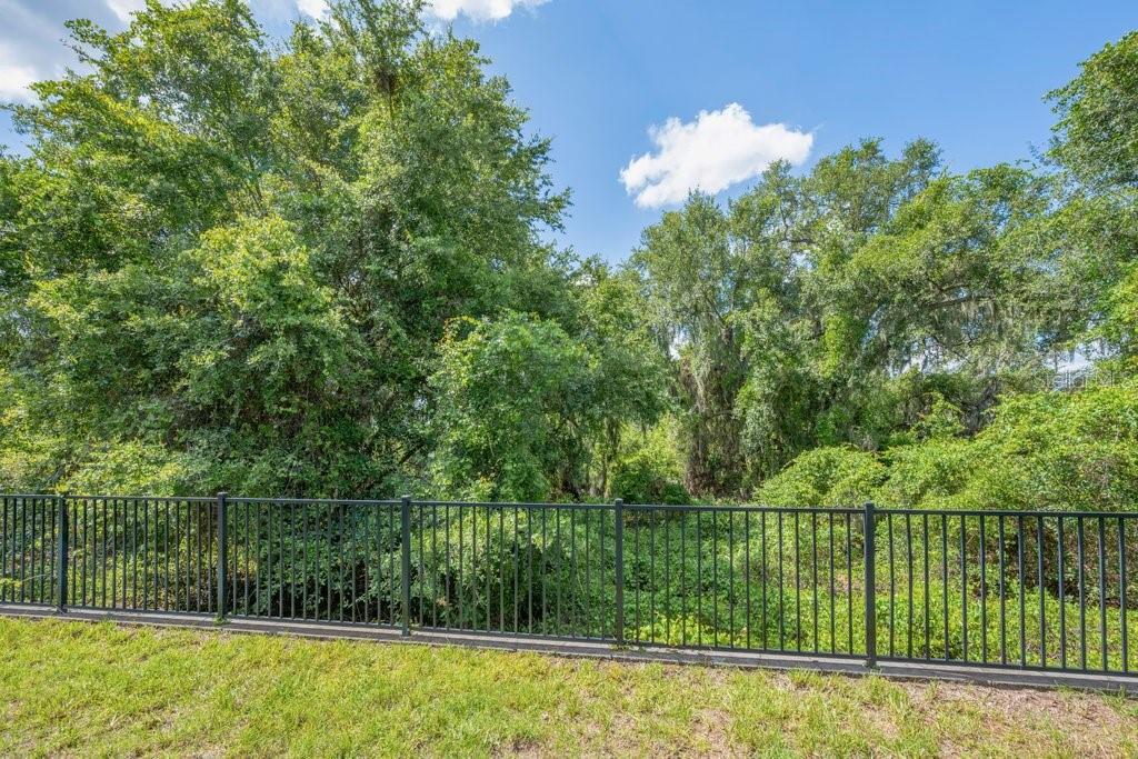 11505 CAMBIUM CROWN DR, RIVERVIEW, FL — photo 25