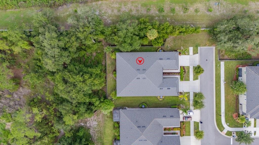 11505 CAMBIUM CROWN DR, RIVERVIEW, FL — photo 35