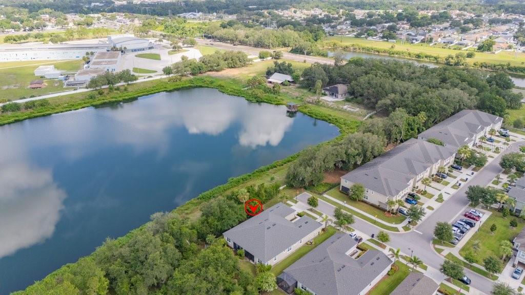 11505 CAMBIUM CROWN DR, RIVERVIEW, FL — photo 36