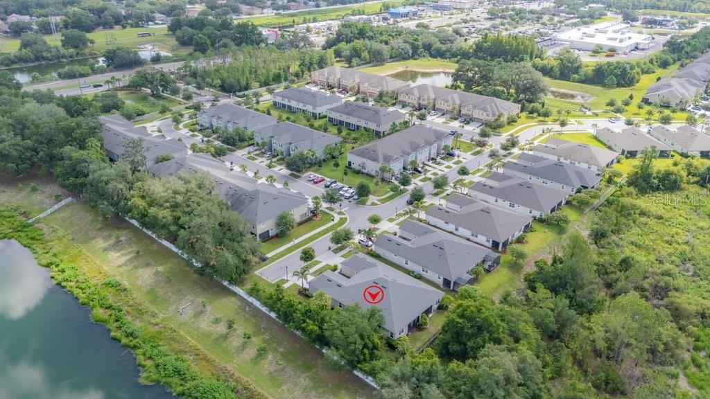 11505 CAMBIUM CROWN DR, RIVERVIEW, FL — photo 38