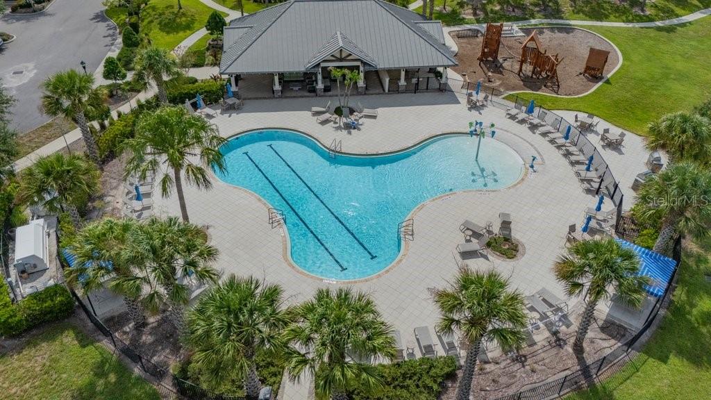 11505 CAMBIUM CROWN DR, RIVERVIEW, FL — photo 49