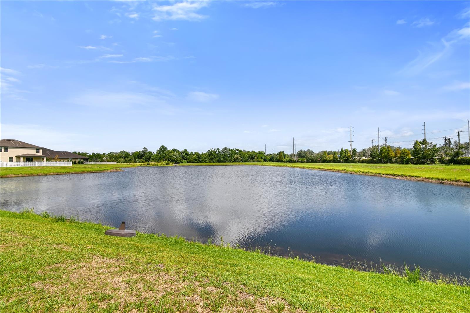 12514 BALLENTRAE FOREST DR, RIVERVIEW, FL — photo 34