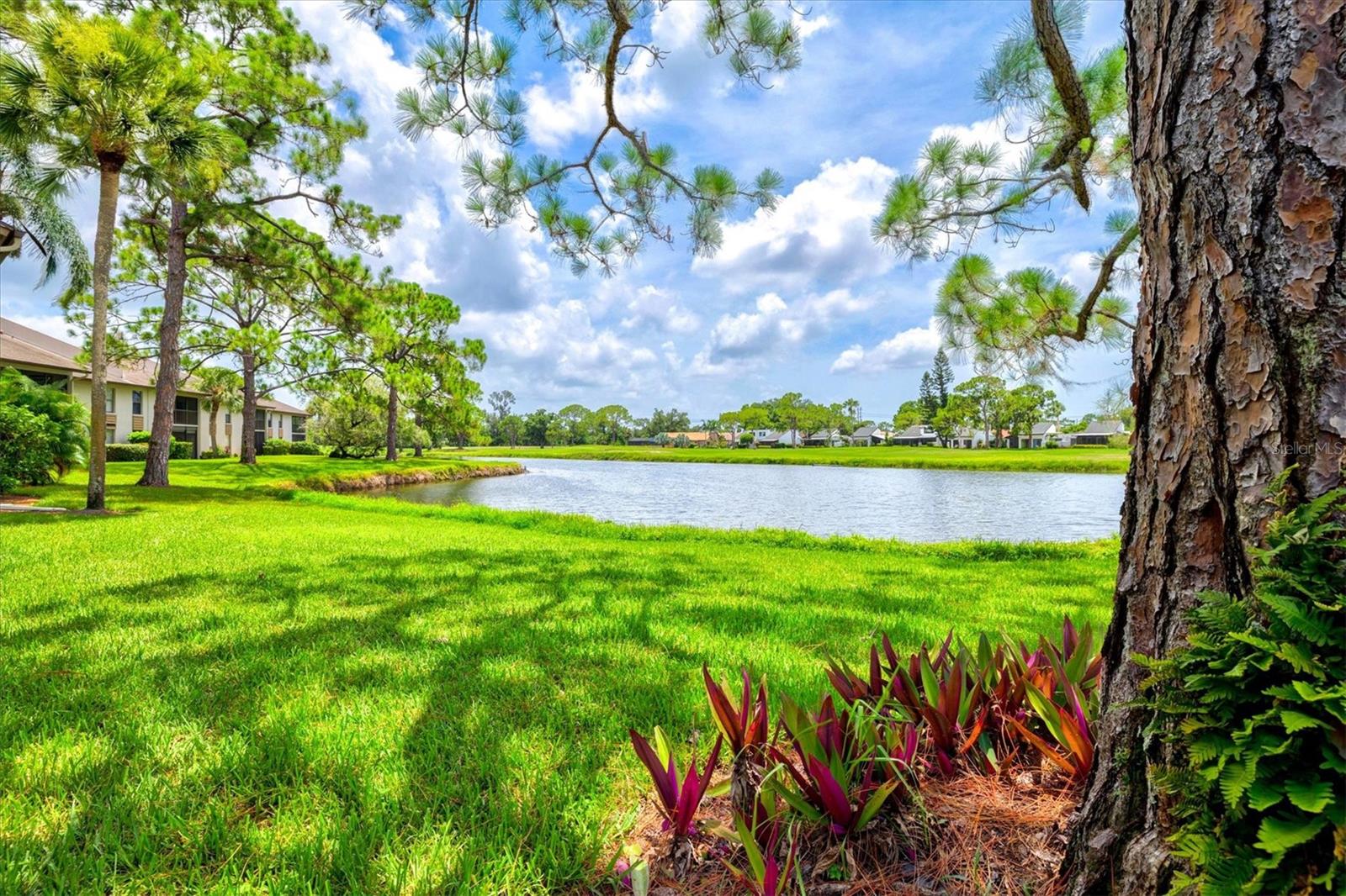 3053 TAYWOOD MDWS #3, SARASOTA, FL — photo 33