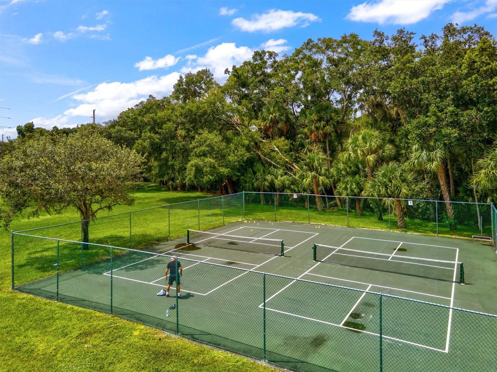 3053 TAYWOOD MDWS #3, SARASOTA, FL — photo 67