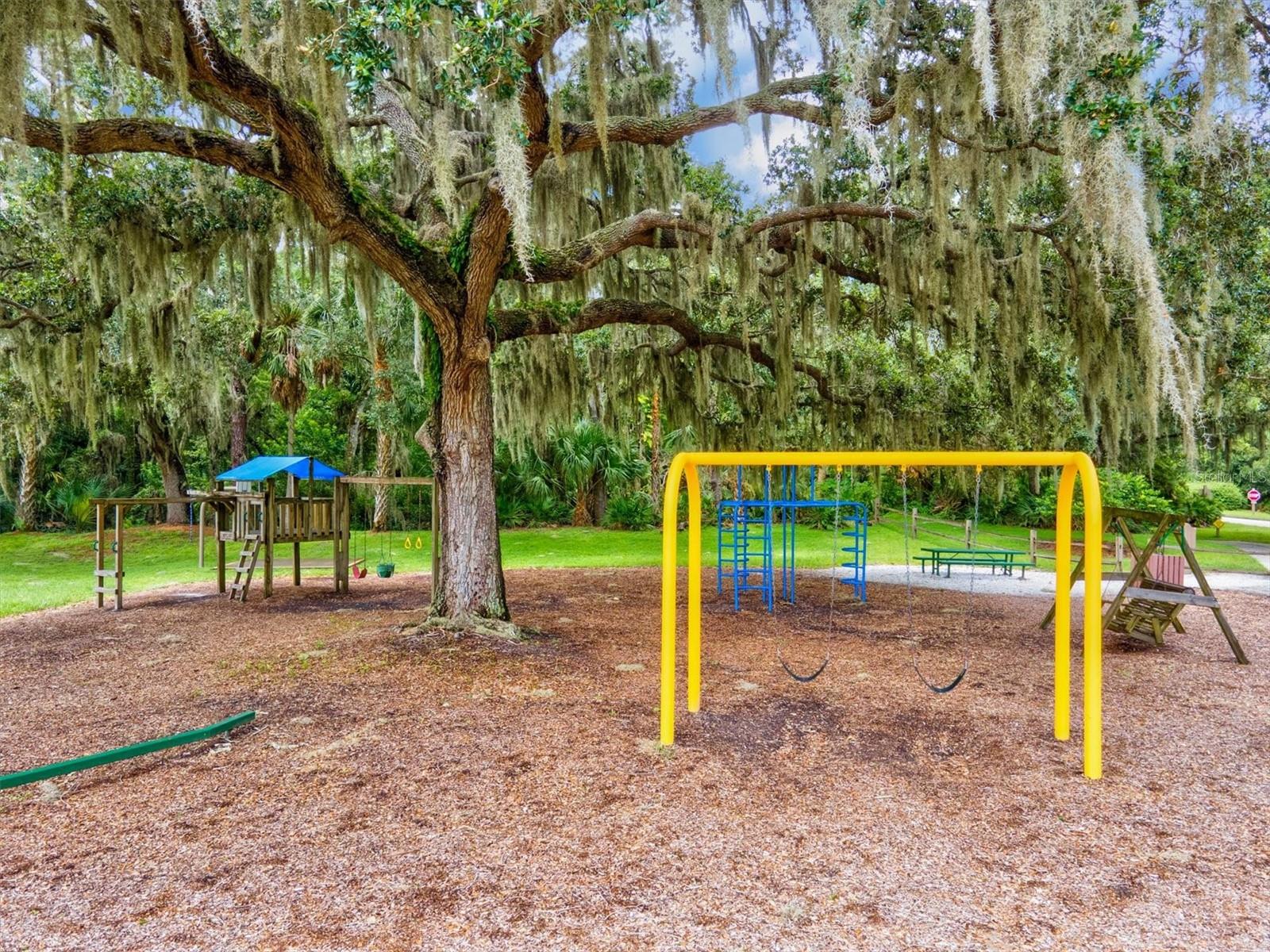 3053 TAYWOOD MDWS #3, SARASOTA, FL — photo 68