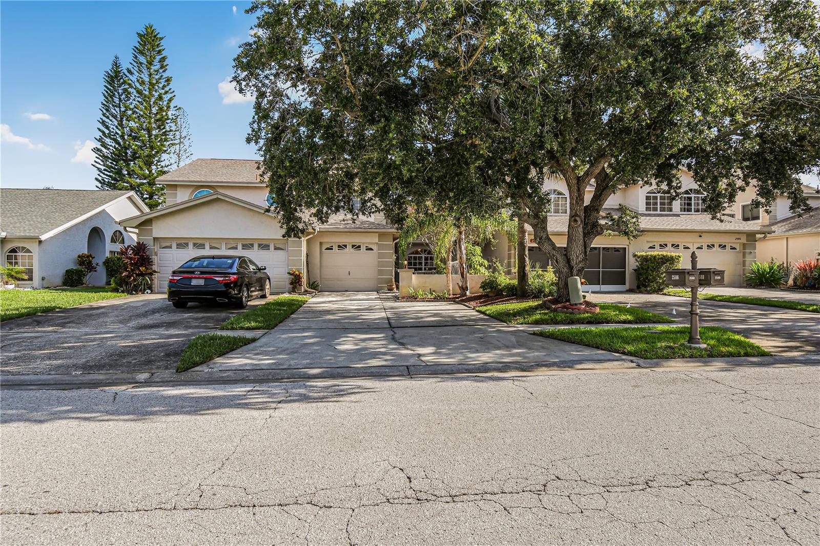 2586 PINE COVE LN, CLEARWATER, FL — photo 2